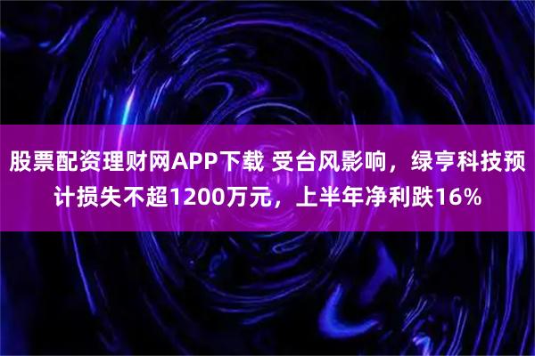 股票配资理财网APP下载 受台风影响，绿亨科技预计损失不超1200万元，上半年净利跌16%