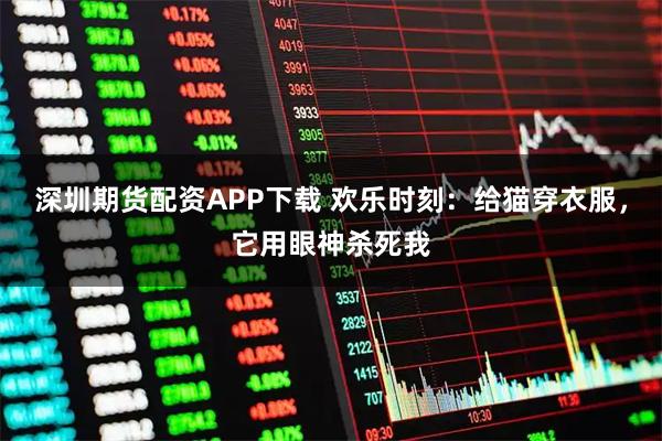 深圳期货配资APP下载 欢乐时刻：给猫穿衣服，它用眼神杀死我