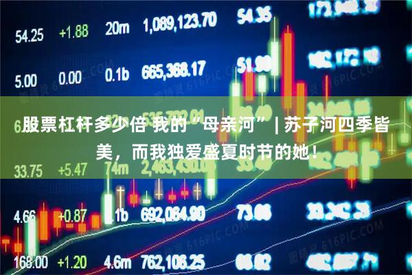 股票杠杆多少倍 我的“母亲河” | 苏子河四季皆美，而我独爱盛夏时节的她！